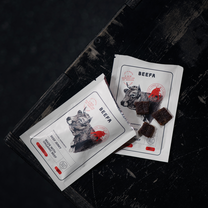 Organic Beef Jerky